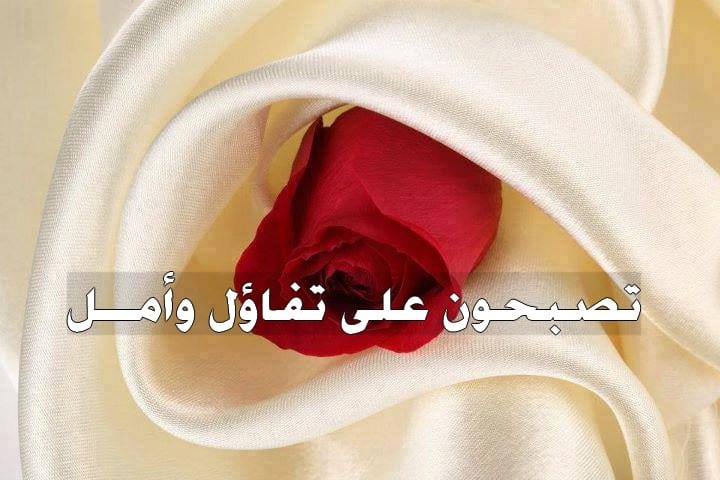 رمزيات مكتوب عليها تصبحون علي خير