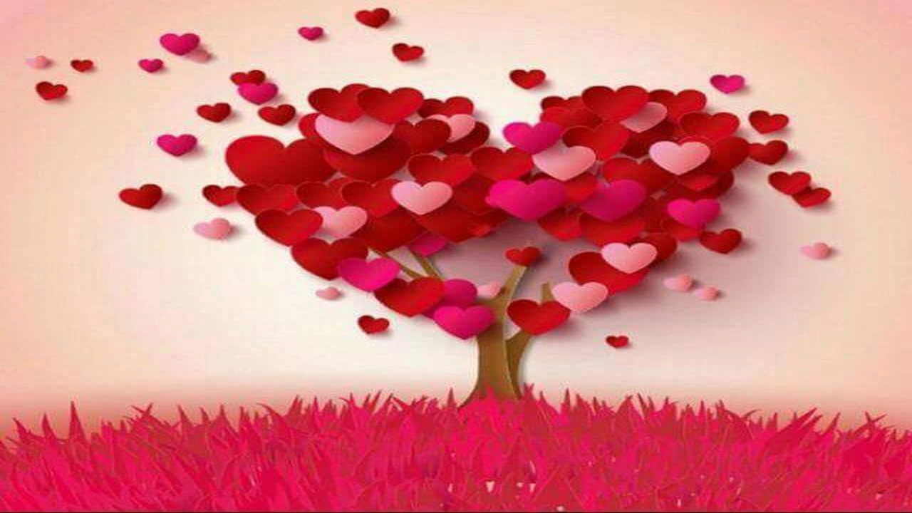 صورة روايات مغربية