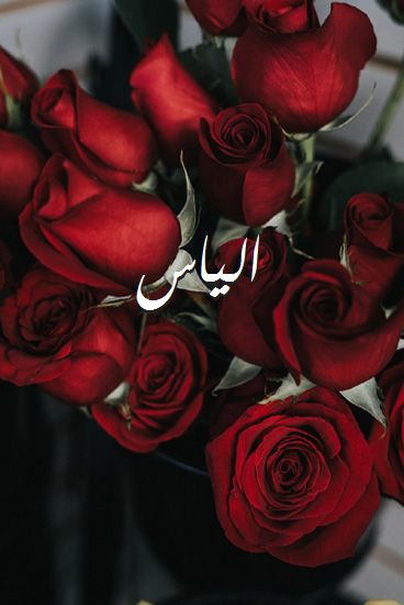 زخرفة اسم الياس فري فاير