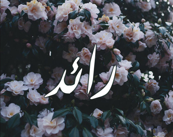 زخرفة اسم رائد