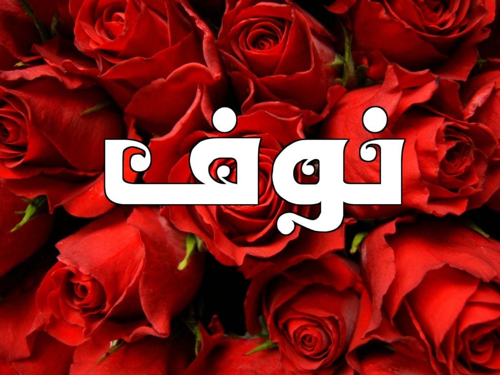 زخرفة اسم نوفة