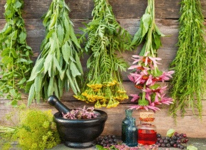 زيادة الطول بالأعشاب