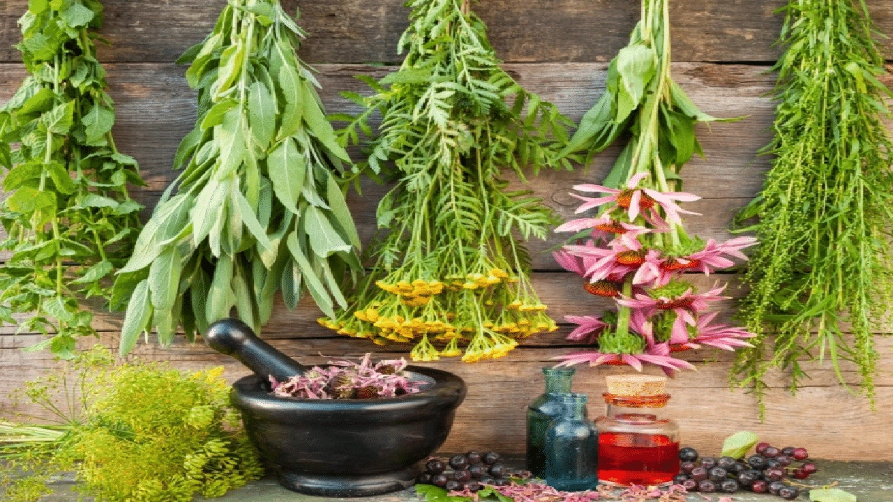 صورة زيادة الطول بالأعشاب