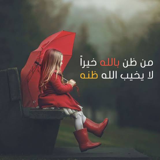 ستاتيات