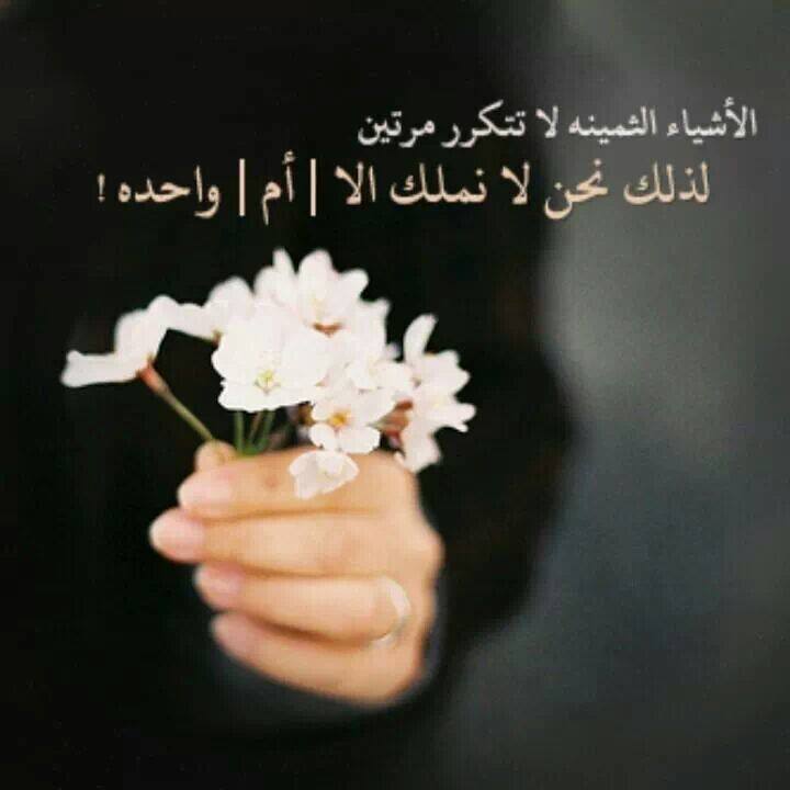 ستوري واتساب كلام