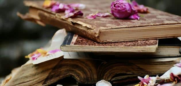 سيرة ذاتية عن الصداقة الناجحة