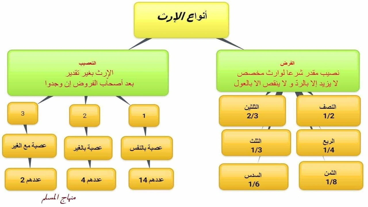 صورة شرح درس التعصيب