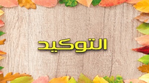 شرح درس التوكيد