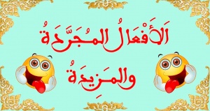 شرح درس الفعل المجرد والمزيد