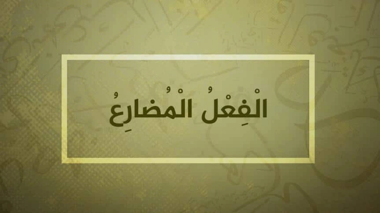 صورة شرح درس الفعل المضارع 