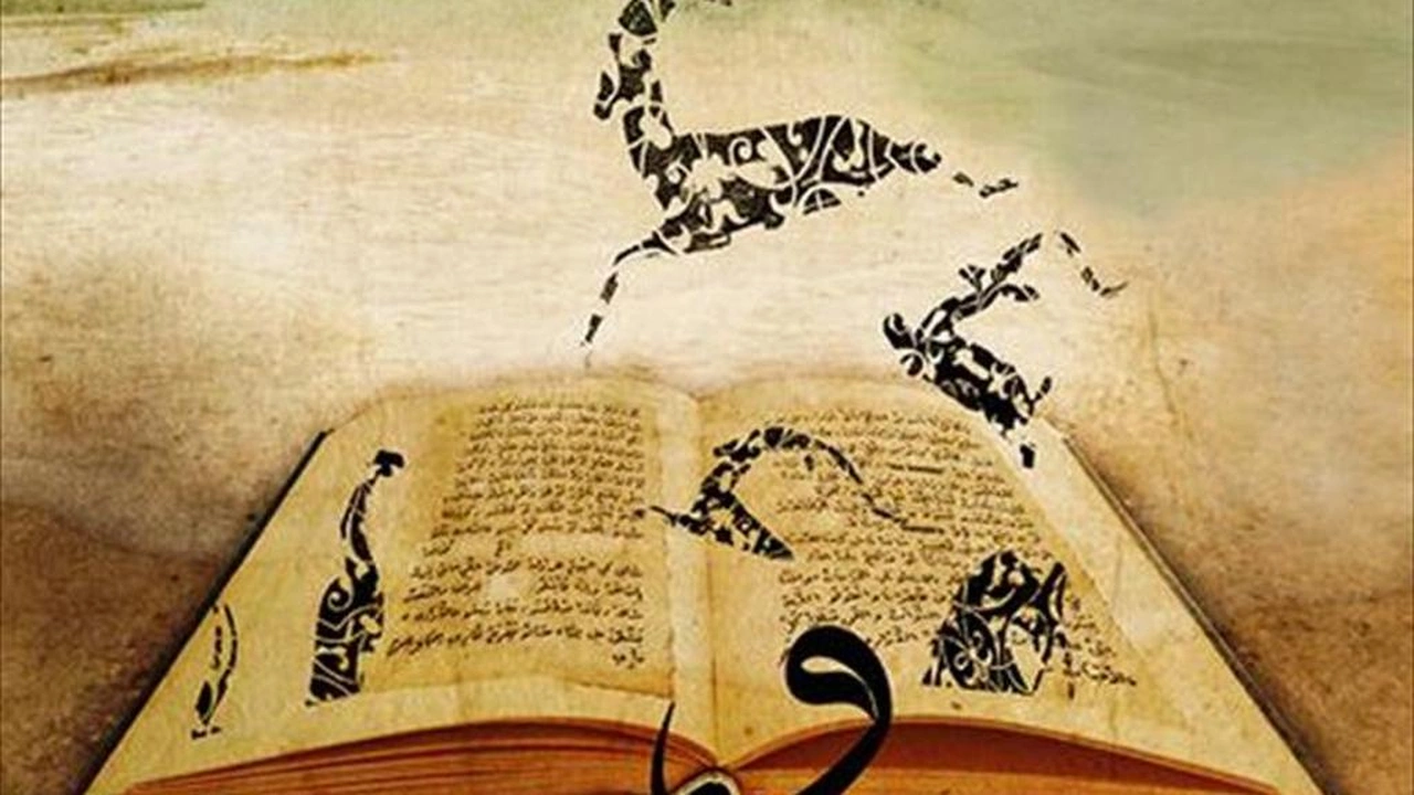 صورة شرح درس المبتدأ والخبر