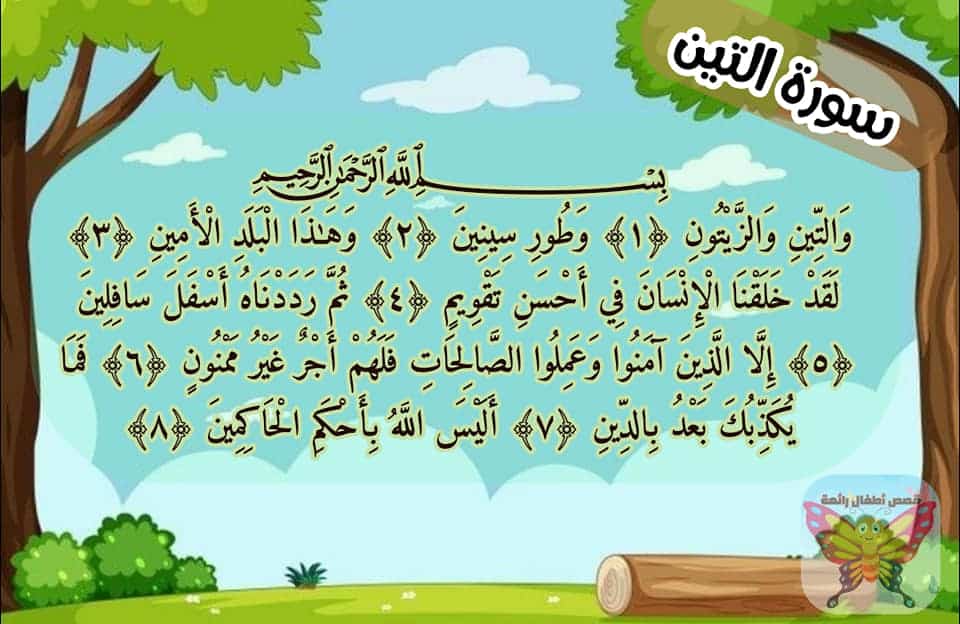 شرح سورة التين للأطفال