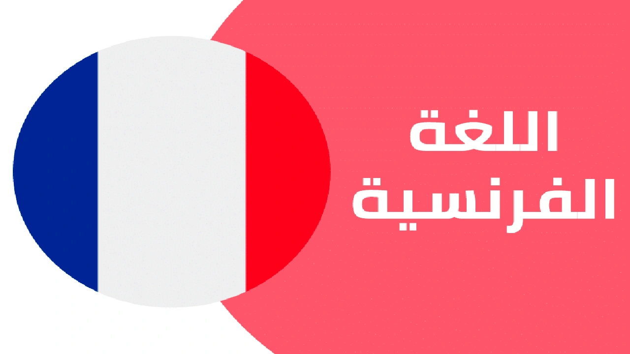 صورة شرح ضمائر التوكيد في اللغة الفرنسية