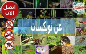 شركة تويسكات لمكافحة الحشرات ورش المبيدات 