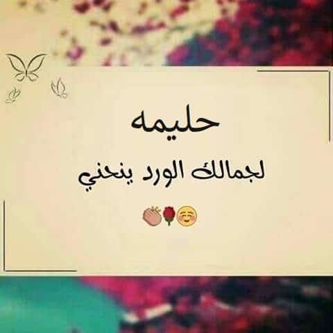 شعر باسم حليمة