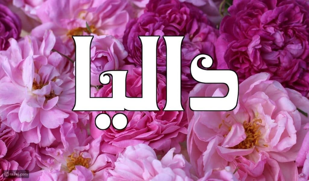 شعر باسم داليا
