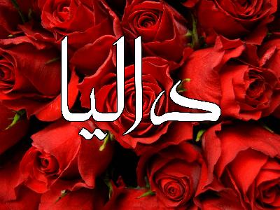 شعر باسم داليا