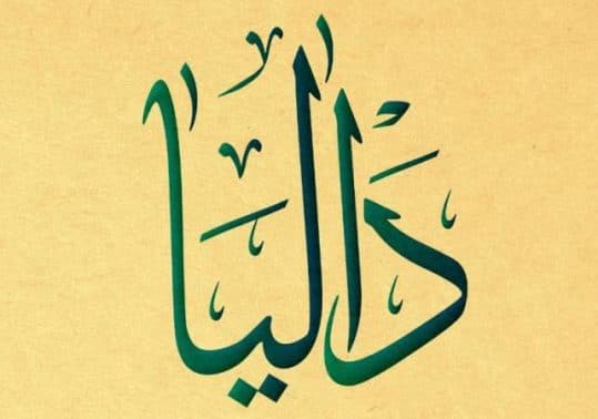شعر باسم داليا
