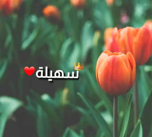 شعر باسم سهيلة