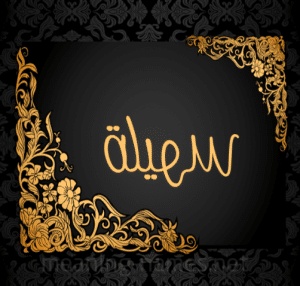 شعر باسم سهيلة