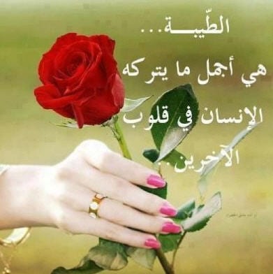 شعر باسم صفاء