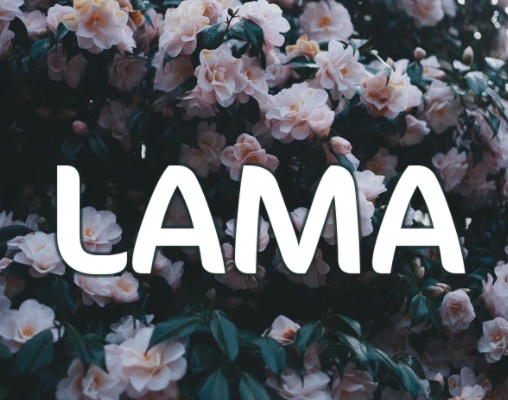 شعر باسم لمى