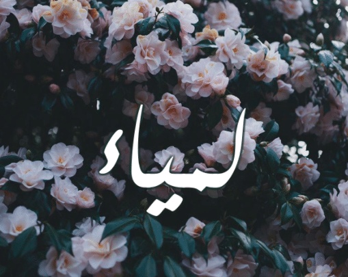 شعر باسم لمياء