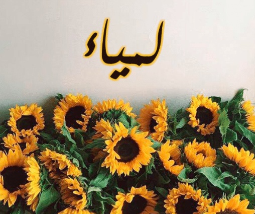 شعر باسم لمياء