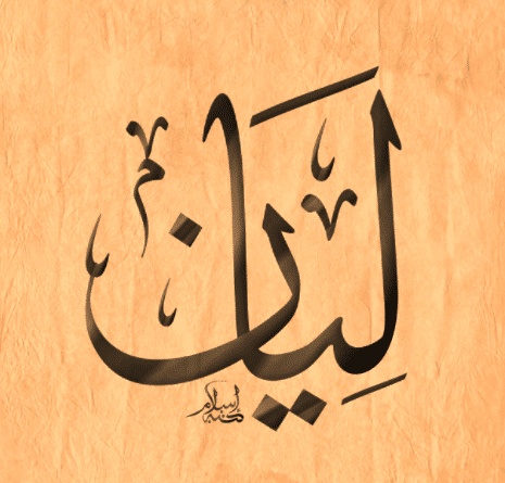 شعر باسم ليان
