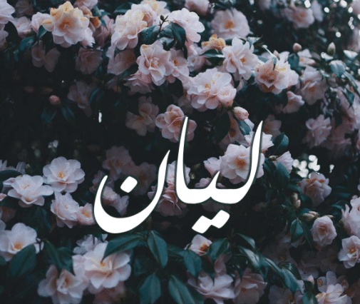شعر باسم ليان