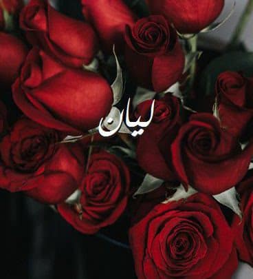 شعر باسم ليان