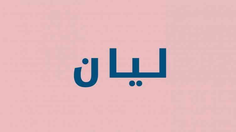 شعر باسم ليان