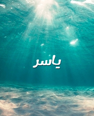 شعر باسم ياسر
