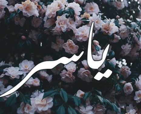 شعر باسم ياسر
