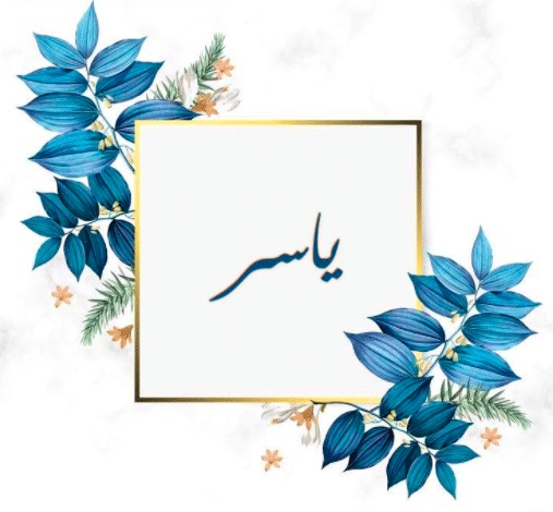 شعر باسم ياسر