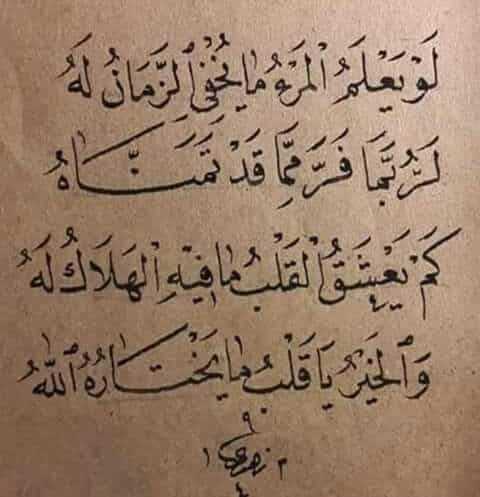 شعر بدوي عن الدنيا وهمومها