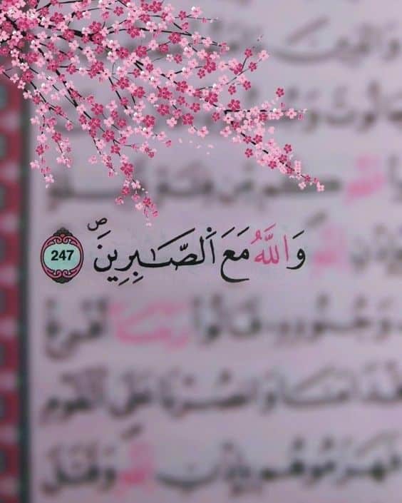 شعر بدوي عن الصبر