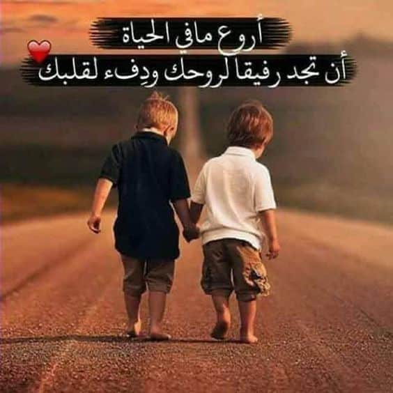 شعر بدوي عن الصديق الكفو