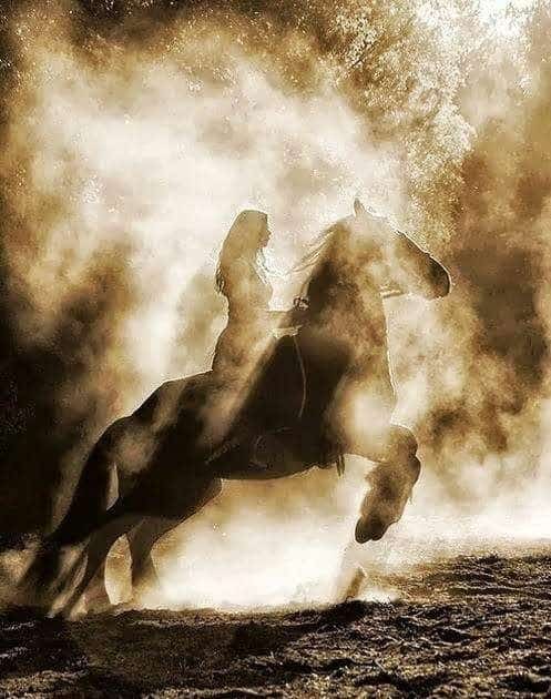 شعر بدوي عن الفخر