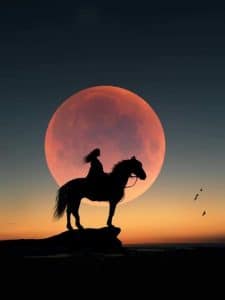 شعر بدوي عن الفخر