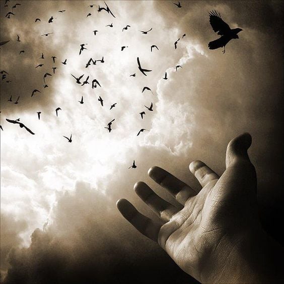 شعر بدوي عن الفراق