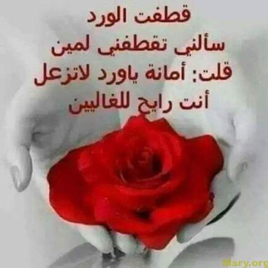 شعر غزل للحبيب