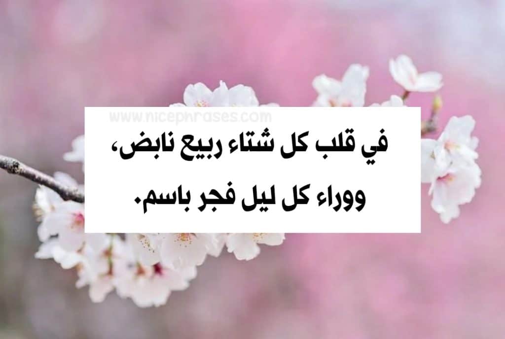 شعر وصف الربيع