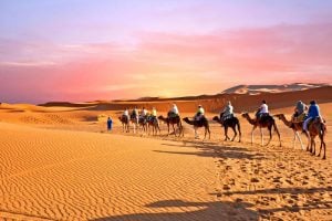 شعر وصف الصحراء