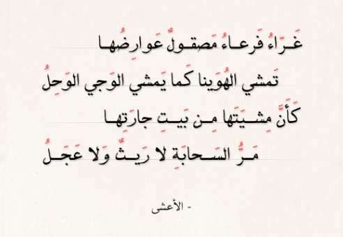 شعر وصف الصحراء