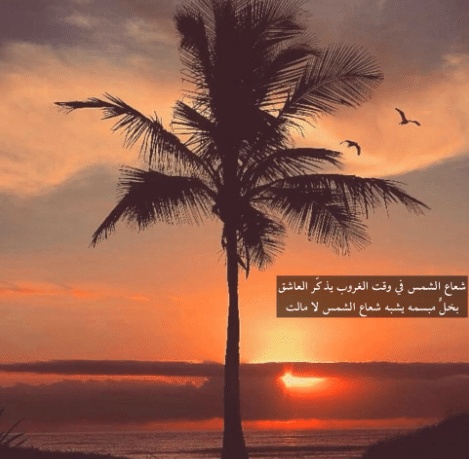 شعر وصف الغروب