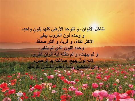 شعر وصف الغروب