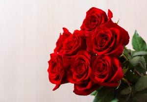 شكر على هدية ورد