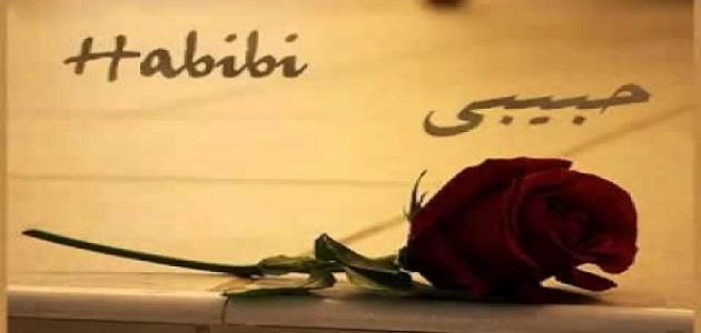 شكرا حبيبي