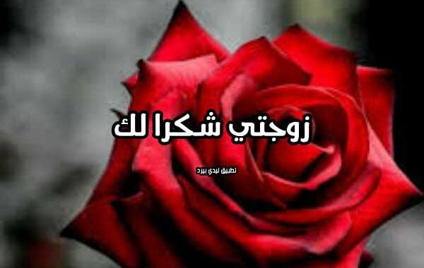 شكرا زوجتي